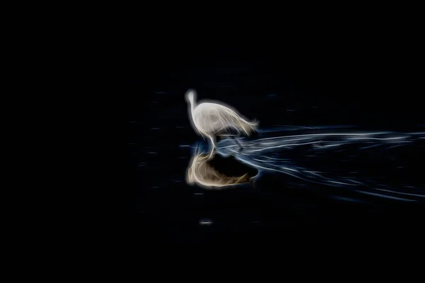 Stylized White Egret Its Reflection Water Digital Work — Stock Photo, Image
