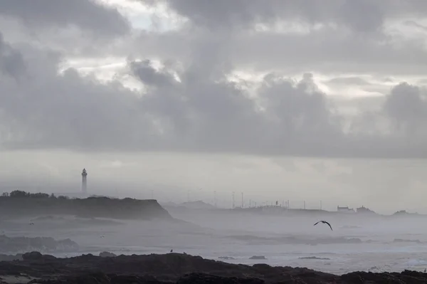 Northern Portuguese Coast Leca Palmeira Winter Foggy Day — Stock Photo, Image