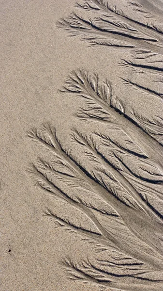 Интересные Мокрые Песчаные Рябь Морского Пляжа Время Отлива — стоковое фото