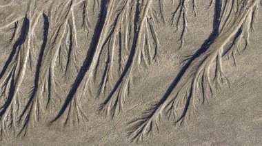 Alçak gelgit sırasında deniz sahilinden ilginç ıslak kum dalgaları.