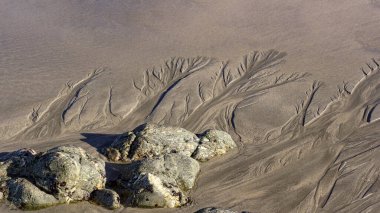 Alçak gelgit sırasında deniz sahilinden ilginç ıslak kum dalgaları.