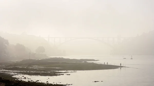 Arrabida Bridge Morning Mist Douro River Mouth Low Tide Porto — ストック写真
