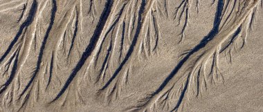 Alçak gelgit sırasında deniz sahilinden ilginç ıslak kum dalgaları.