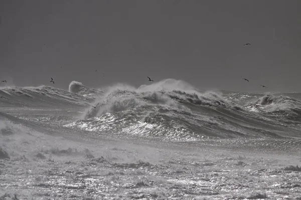 Большая Волна Северное Португальское Побережье Бурный День Интересным Контрастом Над — стоковое фото