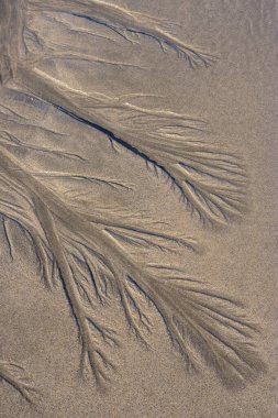 Alçak gelgit sırasında deniz sahilinden ilginç ıslak kum dalgaları.