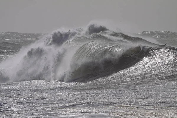Grote Golf Een Stormachtige Dag Noord Portugese Kust — Stockfoto