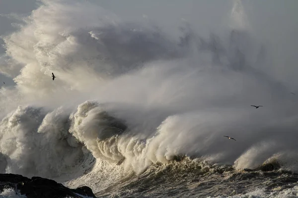 Enorme Stormachtige Zeegolf Noord Portugese Kust — Stockfoto