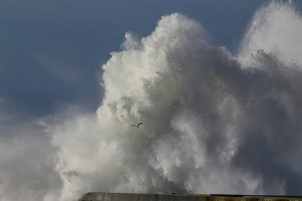 Stor Stormig Havsvåg Stänk Norra Portugals Kust — Stockfoto