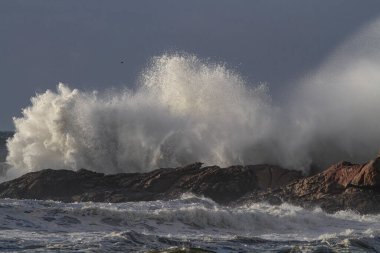 Fırtınalı büyük dalga sıçraması, Kuzey Portekiz kayalık kıyıları.
