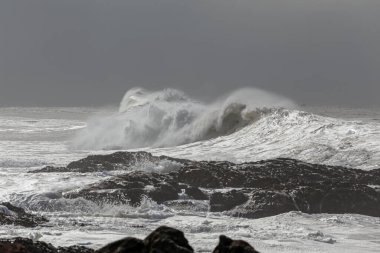 Büyük fırtınalı bir dalga. Kuzey Portekiz kıyıları.