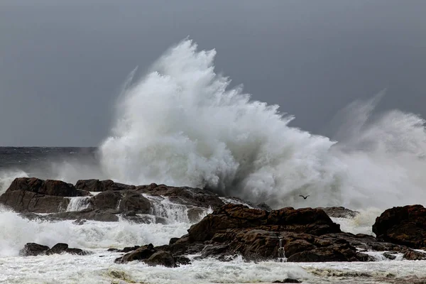 Big Stormy Sea Wave Splash Northern Portuguese Rocky Coast — Stock Photo, Image