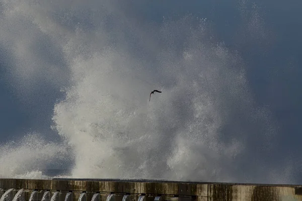 Grosse Vague Orageuse Côte Nord Portugaise — Photo