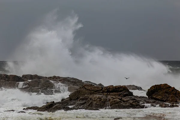 Salpicos Ondas Grandes Tempestuosos Costa Rochosa Norte Portugal — Fotografia de Stock