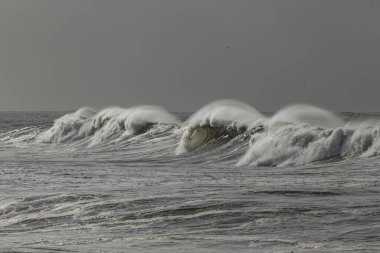 Rüzgarla dalgalanan uzun deniz dalgaları