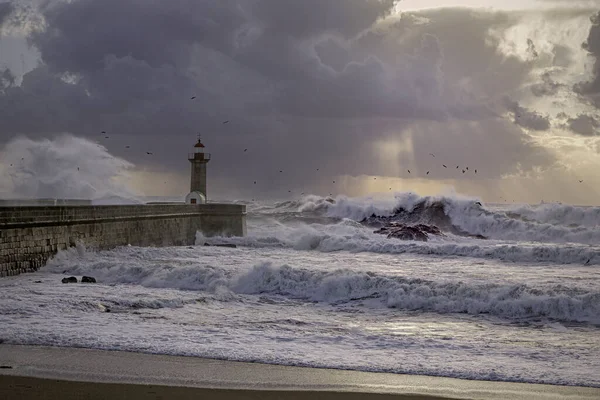 Douro River Mouth Winter Storm Porto North Portugal Stock Image