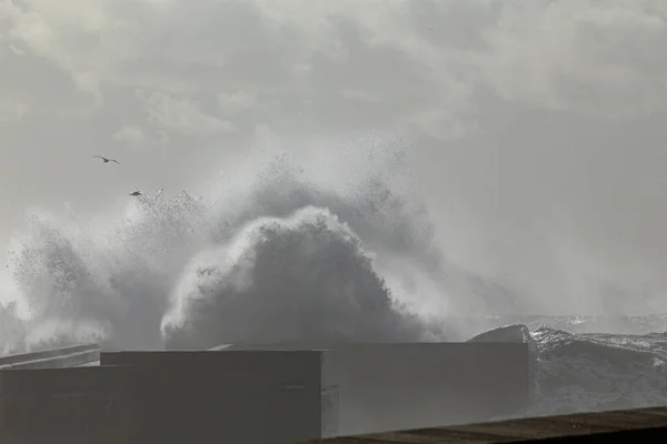 Mjuk Bakgrundsbelyst Våg Stänk Spray Och Fukt Stormig Dag Douro — Stockfoto