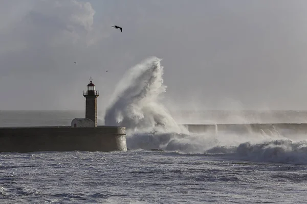 Big Stormy Wave Splash Spray Old Lighthouse — Stock fotografie