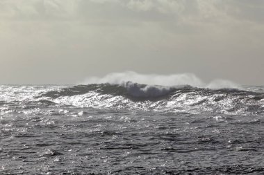 Rüzgarla dalgalanan uzun deniz dalgaları