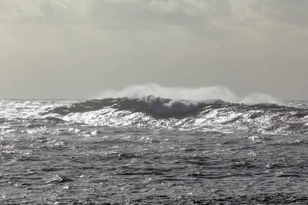 Rüzgarla dalgalanan uzun deniz dalgaları