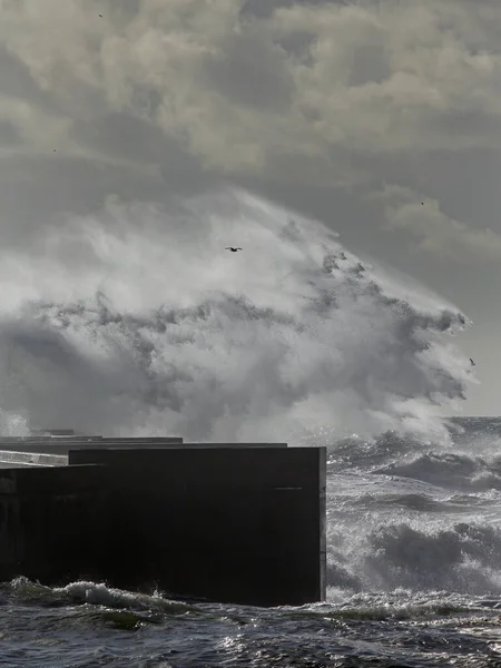 Soft backlit huge wave splash, north of Portugal.