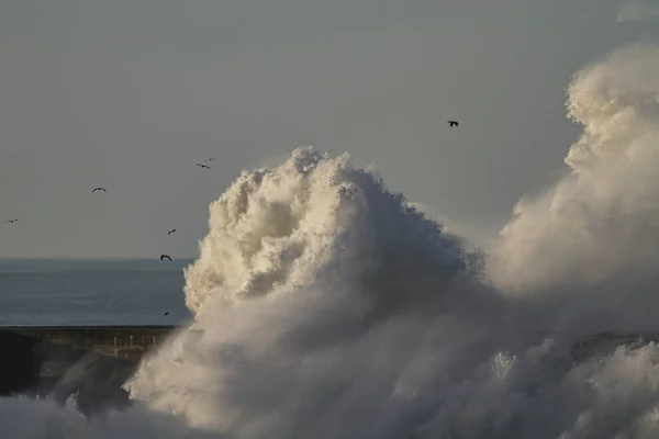Huge stormy wave splash. Northern portuguese coast.