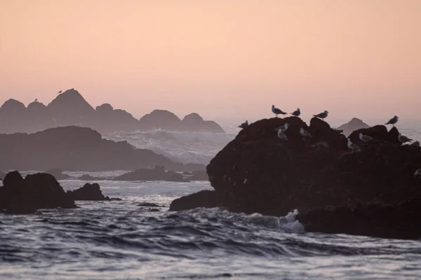 Northern Portugueser Rocky Coast Orange Dusk — Foto de Stock