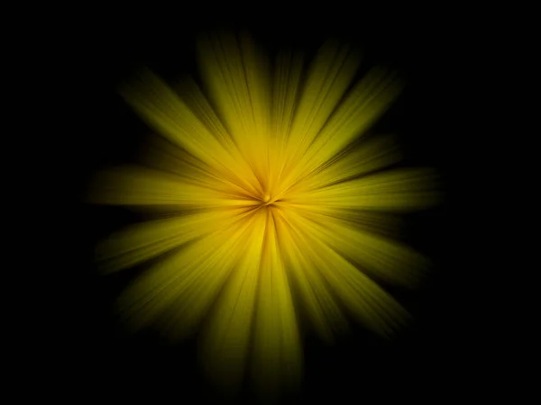 Beautiful Wild Yellow Flower Blur — Φωτογραφία Αρχείου