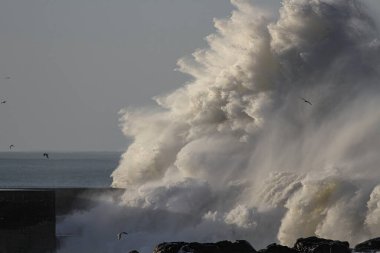 Huge wave splash. Douro river mouth, Porto, Portugal.