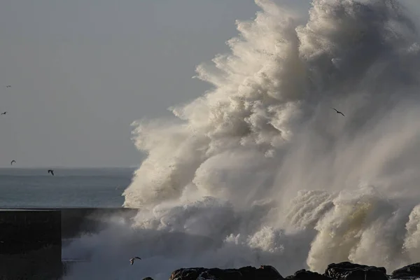 Huge wave splash. Douro river mouth, Porto, Portugal.