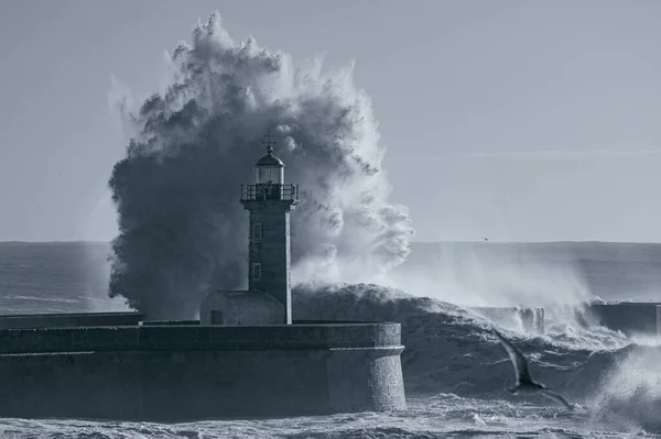 Big Stormy Wave Splash Used Infrared Filter Douro Mouth Old —  Fotos de Stock