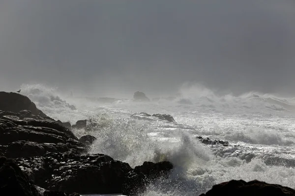 Dramatic Rough Sea Northern Portuguese Rocky Coast — Zdjęcie stockowe