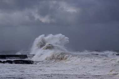 Fırtınalı dalga, Douro nehrinin ağzında kara bulutlu gökyüzüne sıçrıyor, Porto, Portekiz