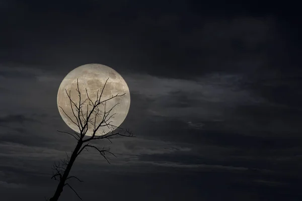 Rising Full Moon Cloudy Dusk Night — Zdjęcie stockowe