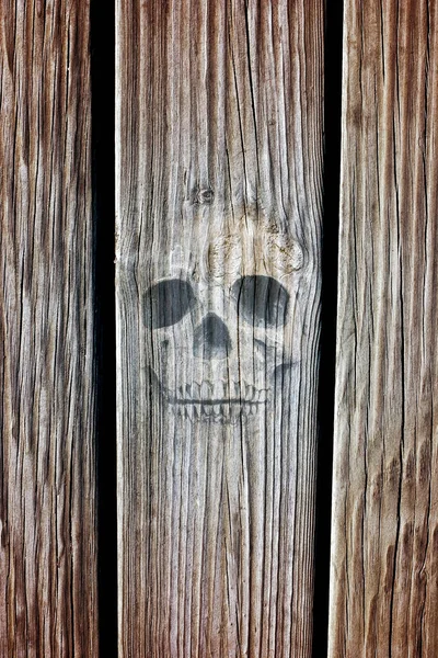 Creepy skull embedded in wooden planks