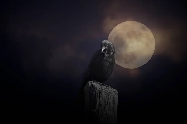 Creepy crow in an overcast full moon night