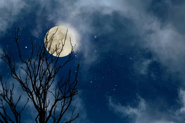 Cielo Nocturno Luna Llena Con Estrellas Algunas Nubes Con Árbol —  Fotos de Stock