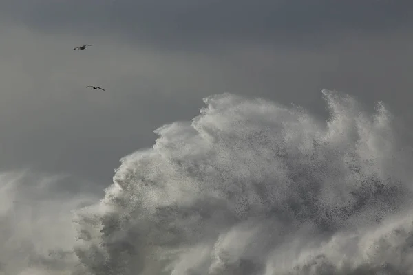 Énorme Vague Mer Éclaboussure Pendant Cyclone — Photo