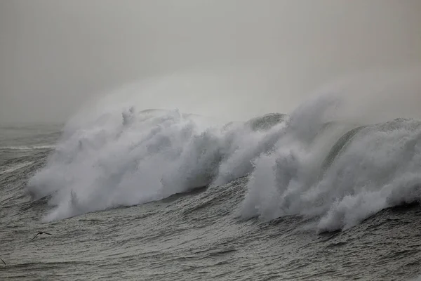 Stürmische Brechende Meereswelle Mit Windgischt — Stockfoto