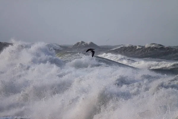 暴风雨破浪的特写 葡萄牙北部海岸 — 图库照片