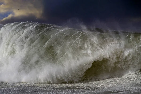 Una Grande Onda Rottura Tempestosa Costa Del Portogallo Settentrionale — Foto Stock