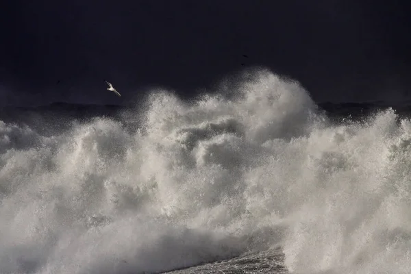 Stormachtige Brekende Golven Tegen Donkere Lucht — Stockfoto