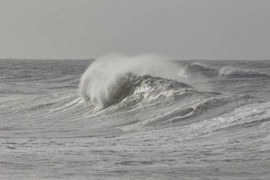 Rüzgar spreyli fırtınalı dalgalar, kuzey Portekiz kıyıları..