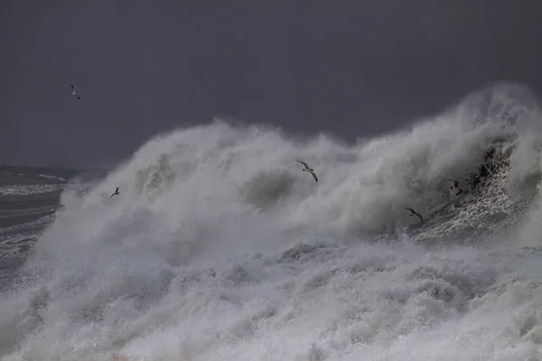 Una Gran Ola Tormenta Costa Norte Portuguesa — Foto de Stock