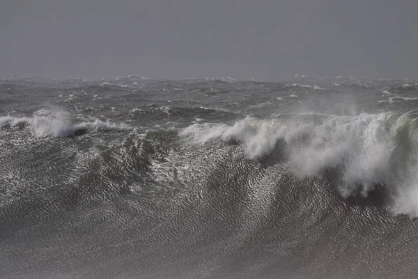 Una Gran Ola Tormenta Costa Norte Portuguesa —  Fotos de Stock