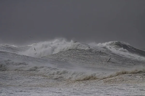 Grote Golf Een Stormachtige Dag Noord Portugese Kust — Stockfoto