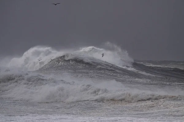 暴风雨中的大浪 葡萄牙北部海岸 — 图库照片