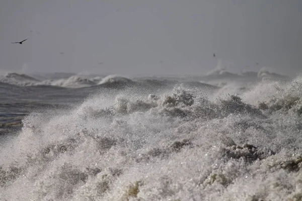 Grande Onda Tempestade Costa Norte Portugal — Fotografia de Stock