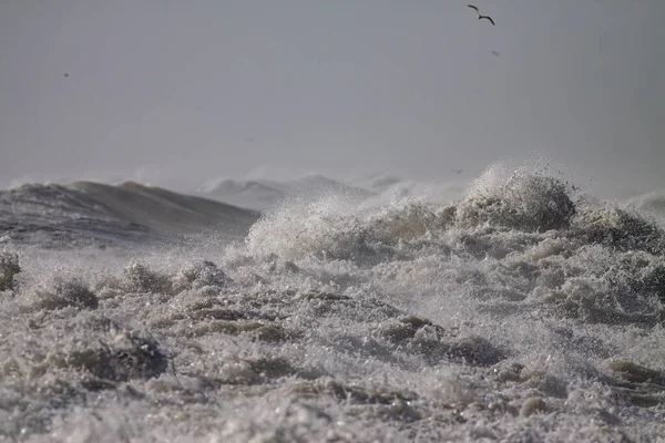 嵐の波だ ポルトガル北部の海岸 — ストック写真