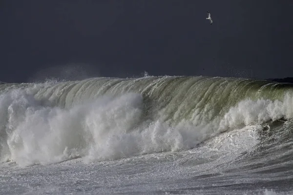 Große Sturmböen Brechen Los Nordportugiesische Küste — Stockfoto
