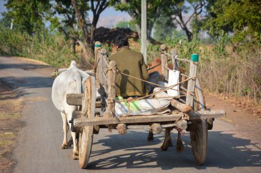 TIKAMGARH, MADHYA PRADESH, Hindistan - 28 Eylül 2021: Hintli çiftçi öküz arabasına biniyor.